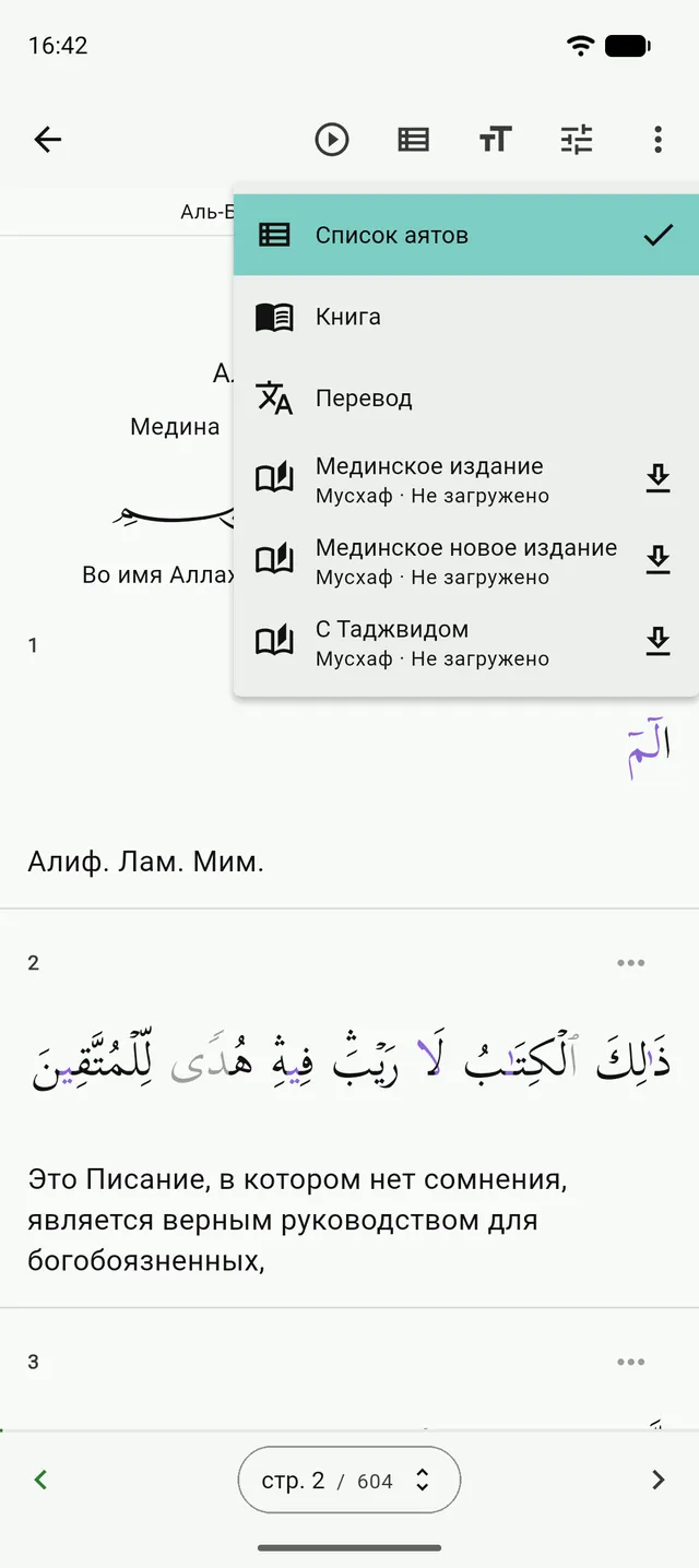 Экран чтения Танзила с открытым меню «Вид»: Список аятов, Книга, Перевод и три мусхафа